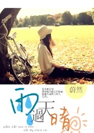雨过天晴保护系统